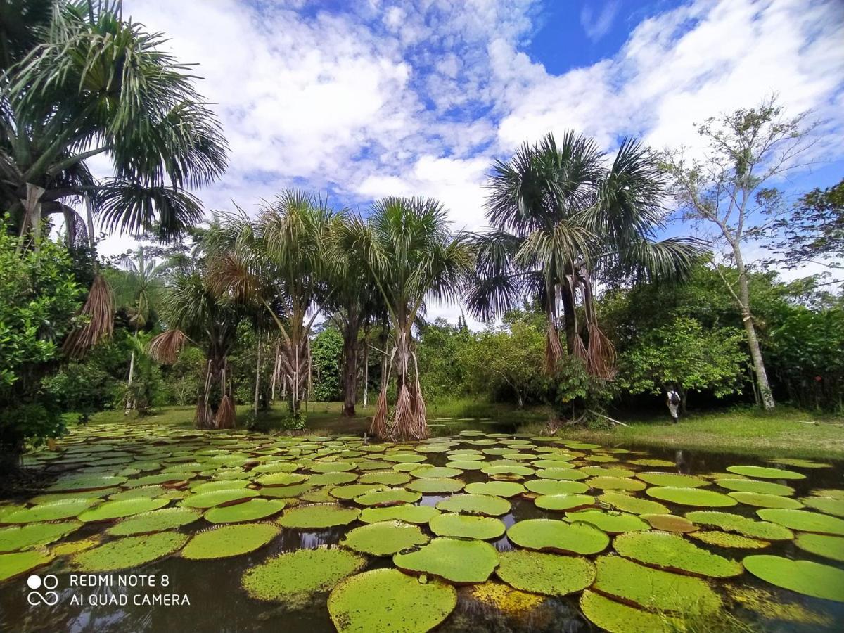 Jacamar Lodge Expeditions Iquitos Bagian luar foto