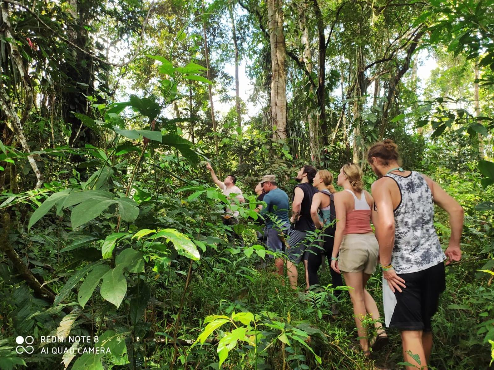 Jacamar Lodge Expeditions Iquitos Bagian luar foto